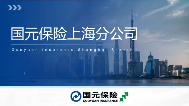 国元保险上海分公司资料封面