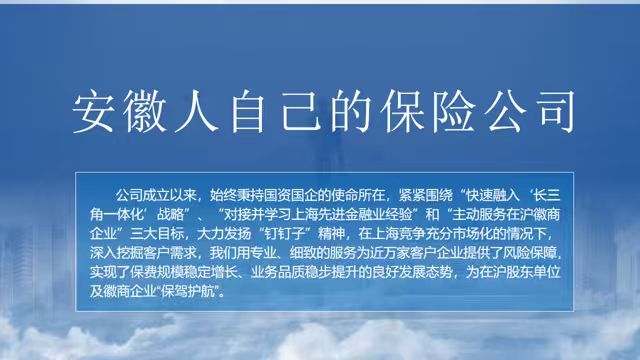 国元保险公司介绍