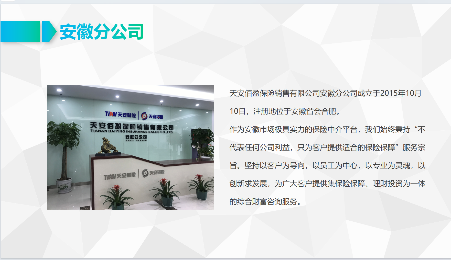 佰盈公司材料第3页
