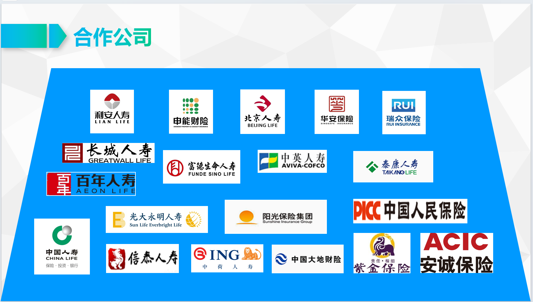 佰盈公司材料第5页